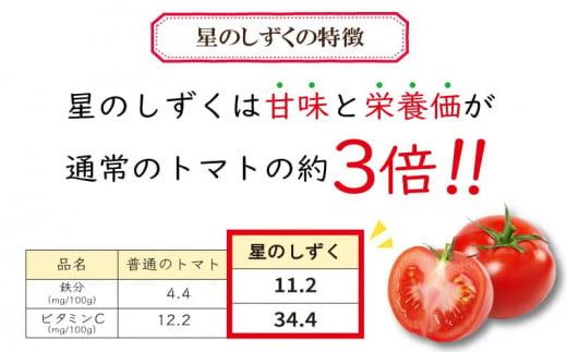 フルーツトマト トマト 定期便 3回 1.7kg 野菜 やさい トマト 薄皮 星のしずく 完熟 高糖度 糖度 8度 果物 スイーツ ジュース パスタ スパゲティー ソース サラダ ドレッシング 鍋 サ