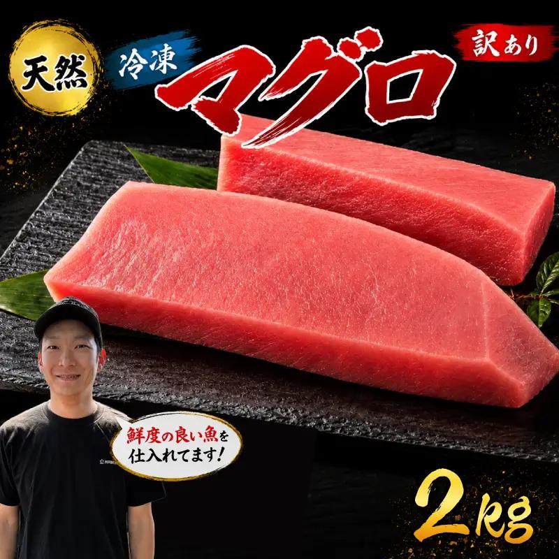 訳あり マグロ 天然 まぐろ 2kg マグロ刺身