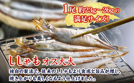ししゃも魚貝類オス大大干物北海道産ししゃも【30尾】