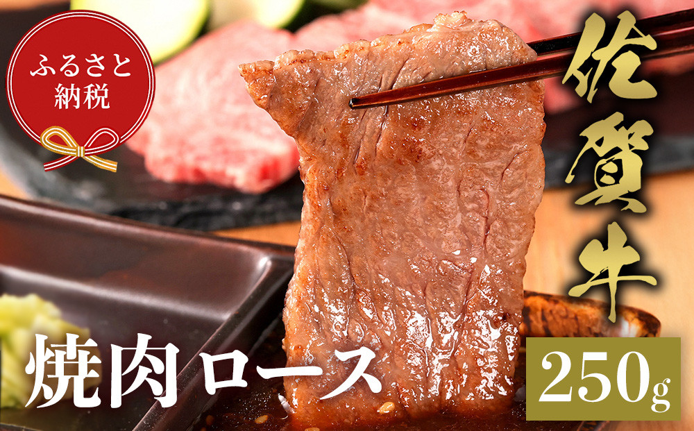 
            【先行受付 令和6年12月中旬より発送】【和牛セレブ】佐賀牛 焼肉ロース 250g【肉 ブランド牛 和牛 牛肉 ふるさと納税】(H113104)
          