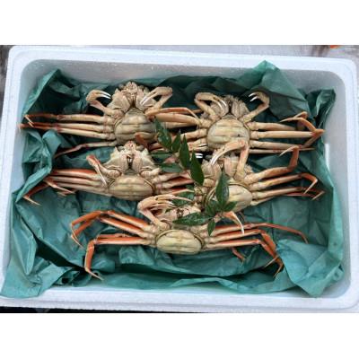 ふるさと納税 加賀市 【冷蔵発送】朝茹で香箱ガニ(ズワイガニのメス)姿5杯セット　2024年11月上旬以降発送 |  | 01