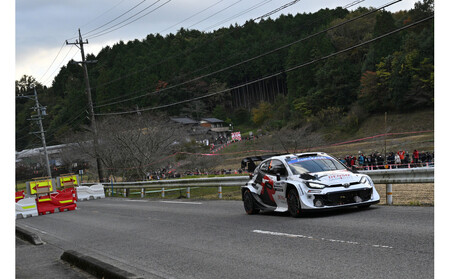 ラリージャパン【小原SS（小原観戦エリア）観戦券／大人２名＋こども２名（小原ふれあい公園P&R）】5月30日（土）