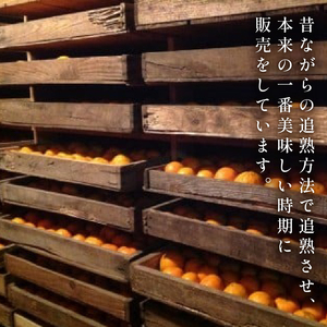早期予約 訳ありぽんかん2.5kgポンカンポンカンポンカンポンカン