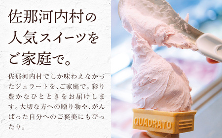 ジェラート アイス スイーツ SANAGOCHI GELATO 12個 株式会社クリスティーヌ 《30日以内に出荷(土日祝除く)》 徳島県 佐那河内村 お菓子 ご褒美 プレゼント いちご チョコ ピス