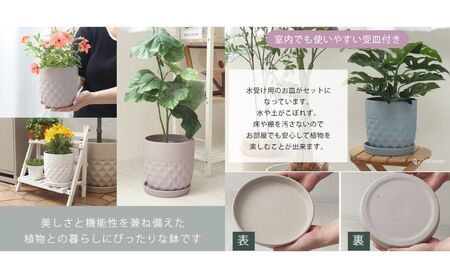 植木鉢 Φ25 crescere クレッシェル 選べるカラー セラミック 約 8号 フラワーポット プランター 鉢 受け皿 大型 観葉植物 おしゃれ くすみカラー ガーデニング用品 ガーデニング 園芸