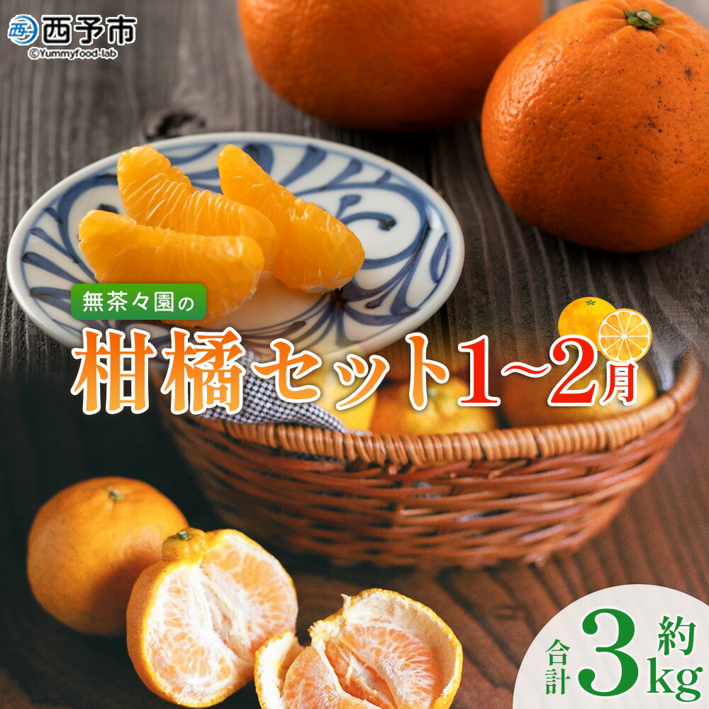 【ふるさと納税】【先行予約】＜無茶々園の柑橘セット 約3kg（1～2月）＞ フルーツ 果物 くだもの 伊予柑 いよかん イヨカン ポンカン ぽんかん みかん 蜜柑 ミカン 詰め合わせ 詰合せ 食べ比べ 特産品 愛媛県 西予市【常温】『2027年1月中旬～2月中旬に順次出荷予定』