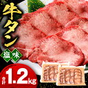 【ふるさと納税】牛タン塩味1.2kg 牛タン 塩だれ 味付き タン 塩 薄切り 薄切り牛タン タン塩 焼くだけ 簡単調理 料理 焼肉 BBQ アウトドア キャンプ グランピング パック 小分け 普段使い 使いやすい 牛肉 肉 お肉 お取り寄せグルメ 宮崎県 宮崎市 送料無料