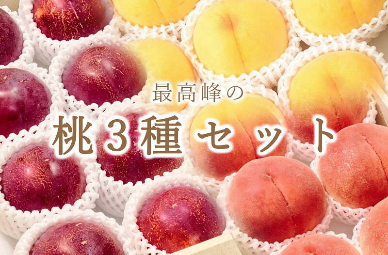【ふるさと納税】 フルーツ 定期便 3回 すもも 桃 黄金桃 大玉 貴陽 プラム 3種 セット 果物 くだもの 果実 2025年発送 甲州市産 白鳳系 白桃系 産地直送 数量限定 期間限定 贈答 ギフト 家庭用 7月 8月 発送 自然農法 山梨 （BNC） 【I3-101】