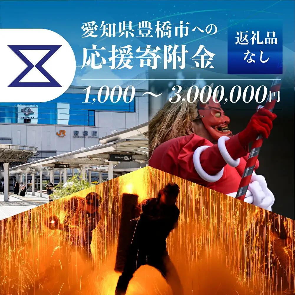 返礼品無しの寄附 2000000円     返礼品無し 