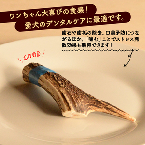 シカツノ Sサイズ 鹿の角 鹿角 犬用おもちゃ 犬おもちゃ 犬用品 犬しつけ 犬国産