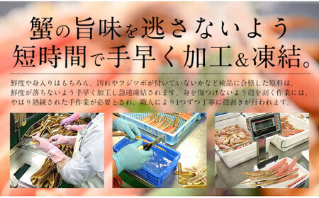 【12月26日～12月31日着(指定日不可)】年内お届け先行予約受付中！カット済ズワイ蟹ハーフポーション 1kg 【3〜4Lサイズ厳選】 [053-b013]