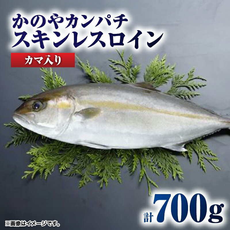 【ふるさと納税】【年内配送12月15日入金まで】かのやカンパチロイン（カマ入）合計800g(かんぱち スキンレスロイン（骨・皮なし）2柵　合計700g、かんぱち カマ 100g×1個) 鹿児島県産 国産 かんぱち カンパチ【鹿屋市漁業協同組合】