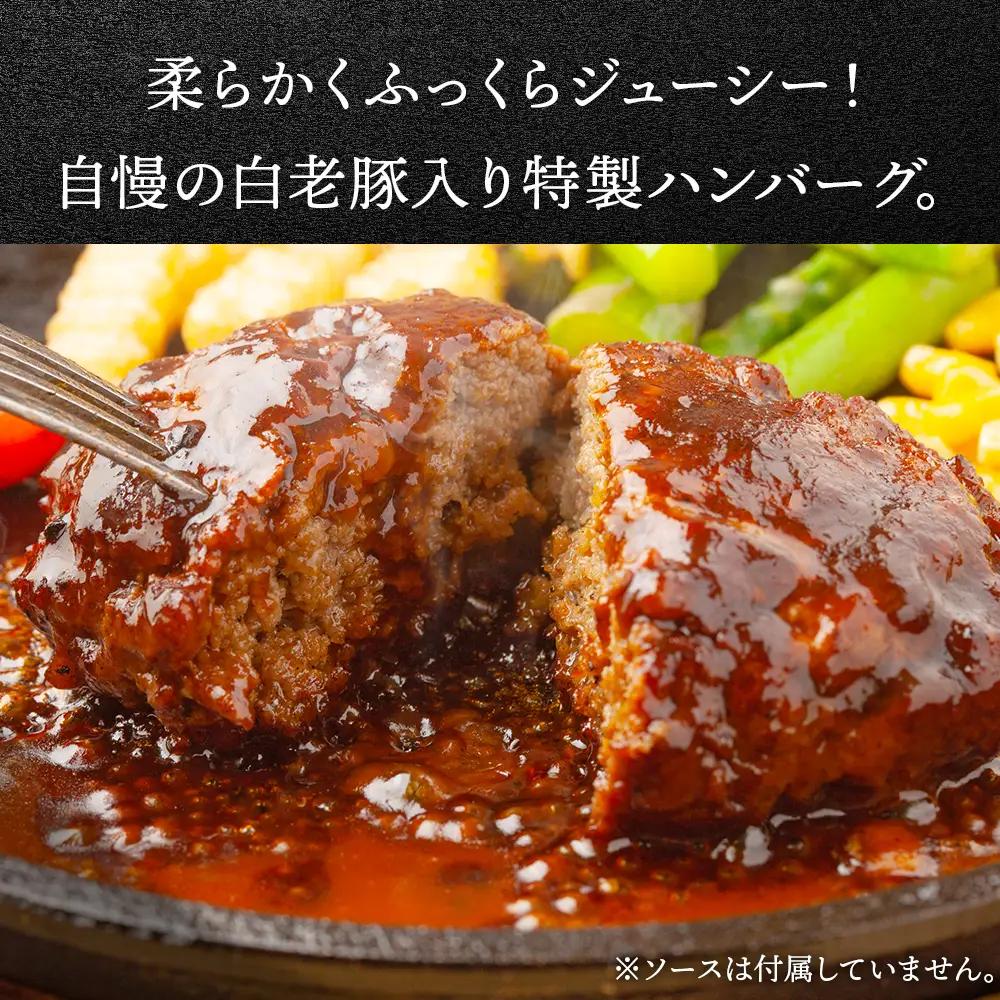 【定期便 12カ月】 北海道産 白老豚 ハンバーグ 120ｇ×20個 セット BV039