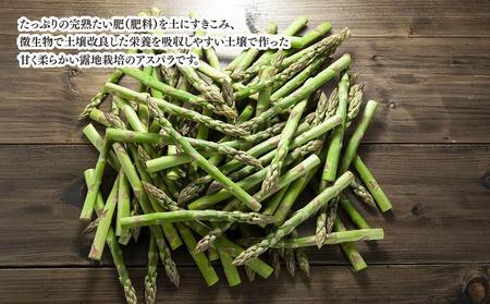 【先行予約】朝採りアスパラ Lサイズ 2kg（500g×4）鮮度保持パック入り 旭川近郊産 露地物(2024年5月中旬発送開始予定)