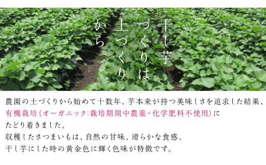 ＜先行予約＞ 茨城の恵み 干し芋 紅はるか 平干し 250g × 20袋入 【2026年12月上旬発送】