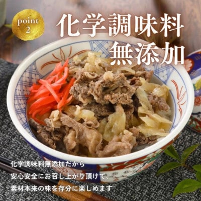【湯せんで手早く】能登牛 牛丼の具100g×8袋【配送不可地域：離島】【1669642】