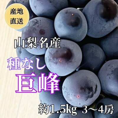 ◆2026年発送◆産地直送 山梨名産!種なし巨峰 3～4房(約1.5kg)【配送不可地域：離島】