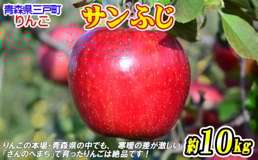りんご【サンふじ】 約10kg（24～40玉）【2025年産・先行予約】★2025年12月上旬～2026年1月中旬頃まで発送予定★ 青森県三戸町産