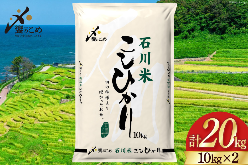 【期間限定発送】 米 令和7年 石川県産 石川米こしひかり【穂立】20kg （10kg ×2袋）[中橋商事 饗のこめ (あえのこめ) 石川県 宝達志水町 38601199] コシヒカリ お米 コメ