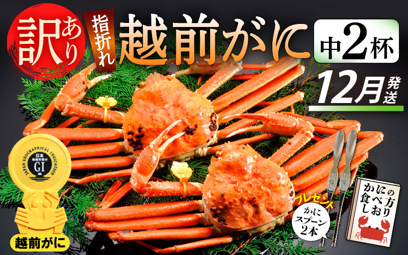 
            【訳あり】≪浜茹で≫指折れ 越前がに（中） × 2杯 食べ方しおり かにスプーン付き【雄 ズワイガニ ずわいがに 越前ガニ 姿 ボイル 冷蔵 福井県】【12月発送分】希望日指定可 備考欄に希望日をご記入ください [e15-x004_12]
          