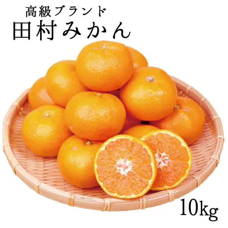 田村みかん 10kg【予約】みかん 【uot505A】