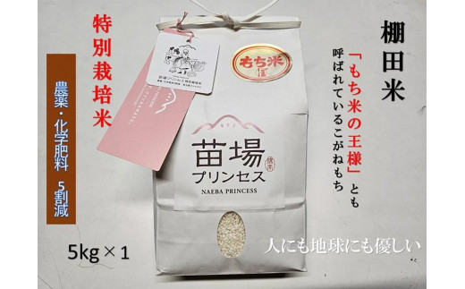 【令和8年産先行予約】もち米 5kg 魚沼産こがねもち 特別栽培米 | 精米 コガネモチ 餅米 モチ米 農薬化学肥料5割減 ブランド米 おすすめ 人気 ギフト プレゼント 新潟県 津南町 苗場プリンセス