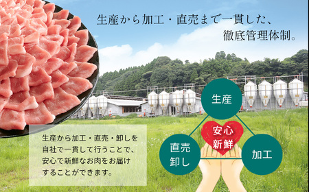 しゃぶしゃぶ 用！グランプリ受賞の 豚 ロース 900g スライス 豚肉