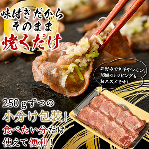 薄切り 塩味 牛タン (計800g・約200g×4P) 小分け 牛肉 肉 タン 牛たん 味付け 焼肉 塩 BBQ 冷凍 大分県 佐伯市【DH266】【(株)ネクサ】