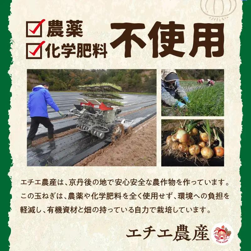 京都 丹後産 甘い有機玉ねぎ 10キロ【有機JAS取得】（2026年6月上旬～発送） 10kg ふるさと納税 たまねぎ 玉葱 玉ネギ オニオン 有機 玉ねぎ 有機野菜  有機栽培   甘い玉ねぎ サラ