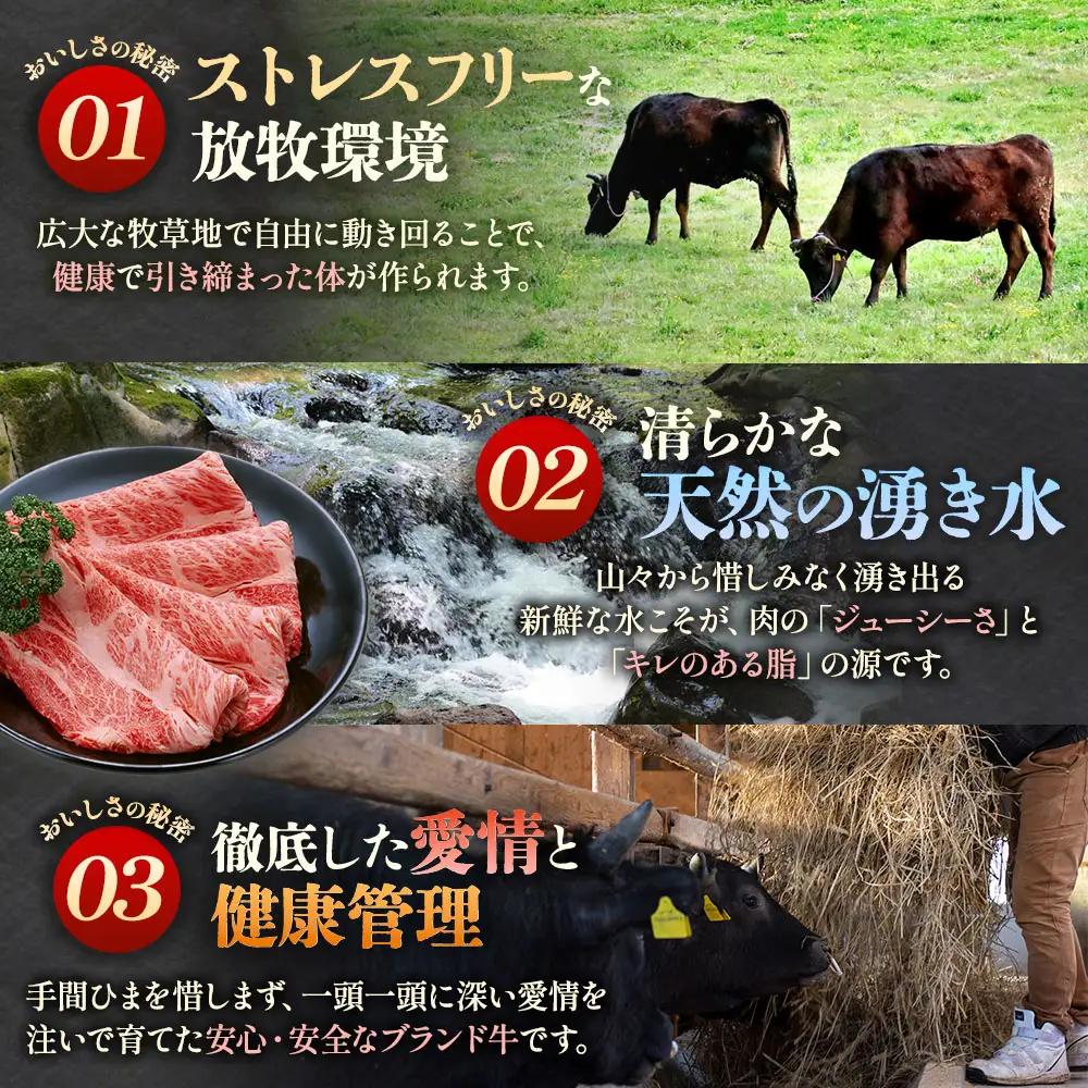 国産和牛 人気部位セット 1.32kg 黒毛和牛「三戸・田子牛」
