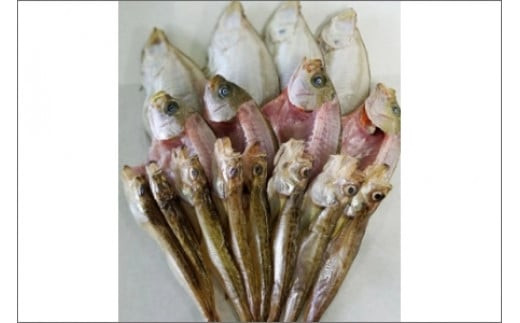 間人港 瞬冷ひもの Bセット（4人用） 平七水産