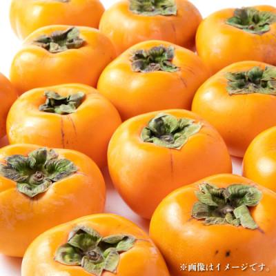 ふるさと納税 九度山町 【2025年発送】九度山グルメ市場の種なし柿 7kg以上 |  | 02