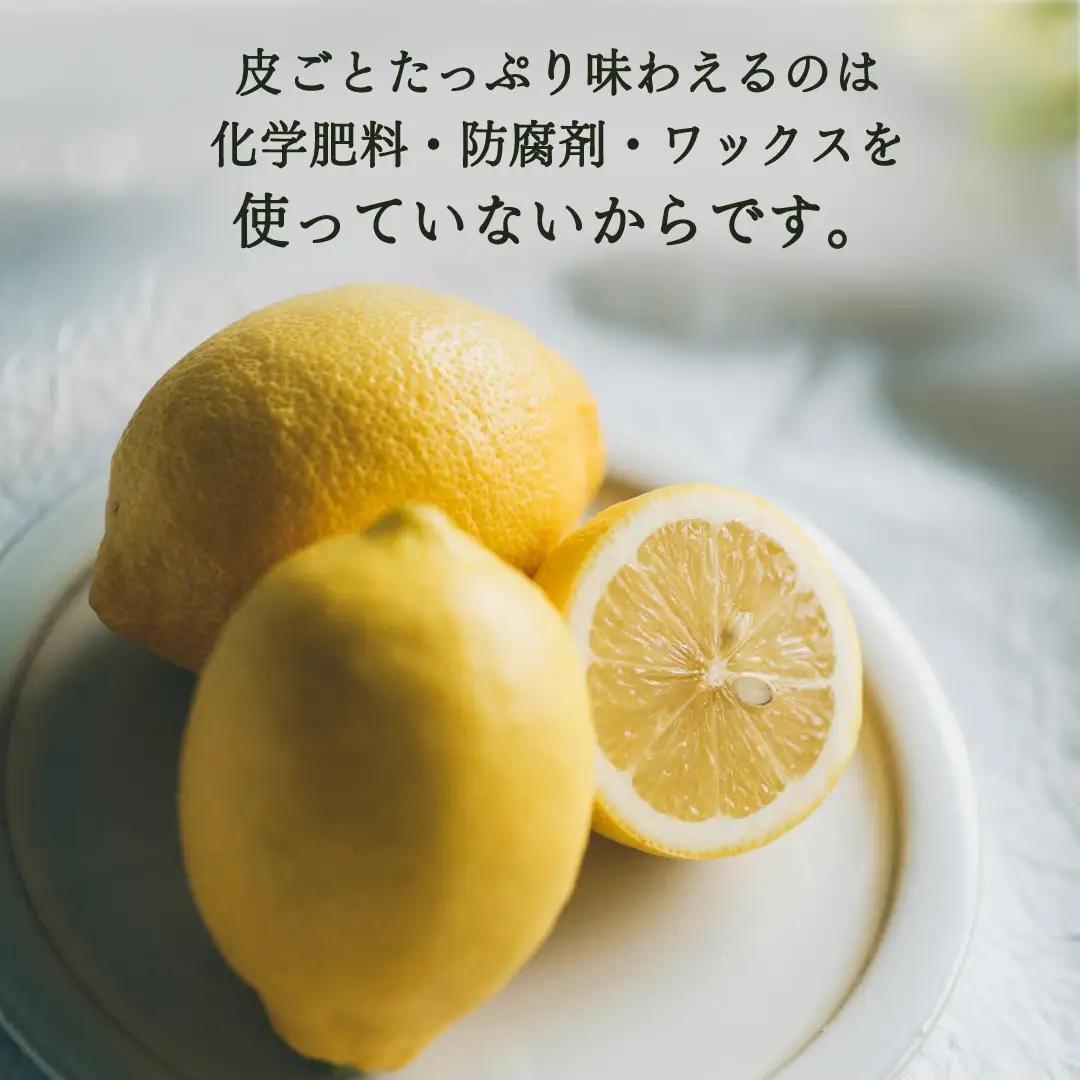 オーガニック 瀬戸内レモン 2kg【2027年 1月 ? 5月 出荷】 先行予約