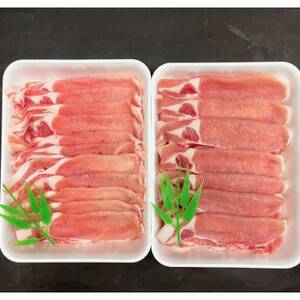 知多フレッシュポーク 豚ロース 800g スライス 厚さ2mm 極厚 しゃぶしゃぶ すきやき用 愛知県南知多町産 豚肉 お肉 豚ロース 豚肉