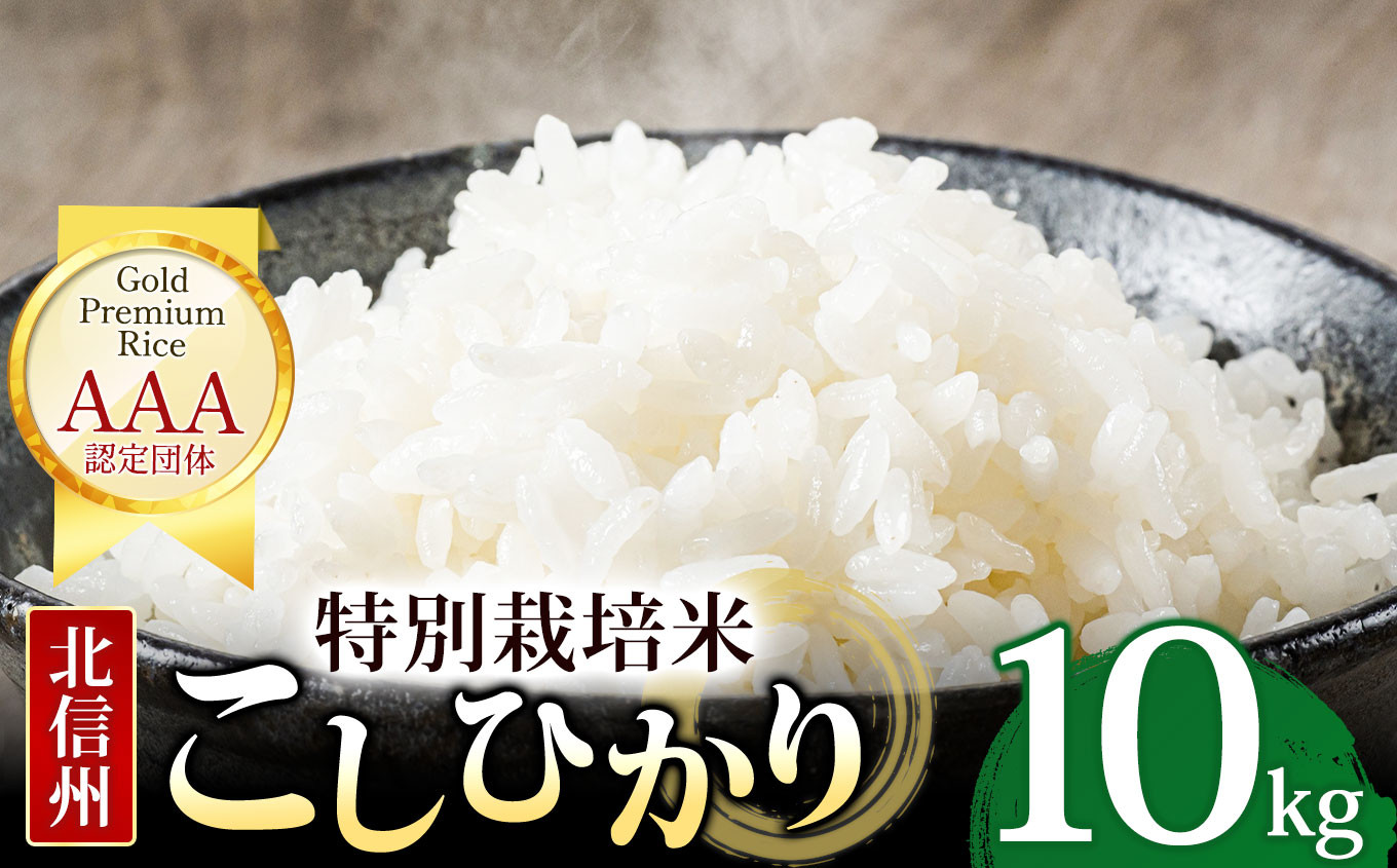 
木島平産 コシヒカリ 約10kg | 米 白米 精米 特別栽培米 コシヒカリ こしひかり お米 おこめ 減農薬 長野県 木島平村 信州
