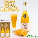 【ふるさと納税】今村農園のおひさまきらりん 生搾り100%ジュース（720ml 2本入） 果物 フルーツ＜107-034_6＞