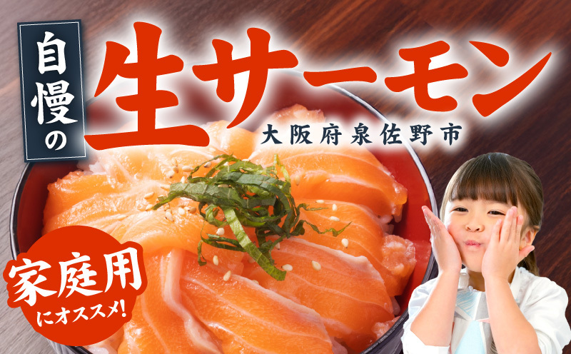 アトランティックサーモン 600g+おまけしらす150g【小分け ポーション 柵切 しらす シラス sirasu 刺身 魚介 海鮮 さーもん 生食 お試し】 G3805_イメージ4