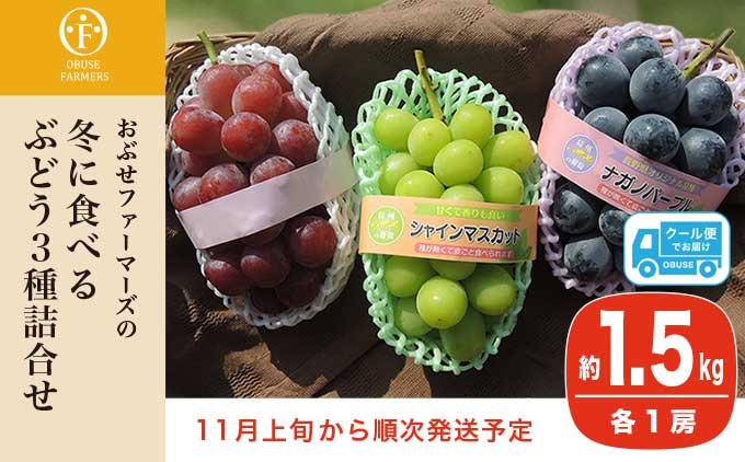 
            冬に食べるシャインマスカット＆ナガノパープル＆赤系ぶどう1房ずつ 約1.5kg ［ おぶせファーマーズ ］ ぶどう 果物 フルーツ 詰め合わせ 詰合せ 【2025年11月上旬～順次出荷】［FB-24］
          