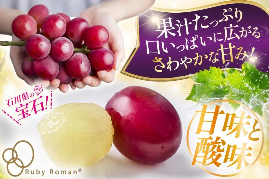 【期間限定発送】 超高級 ぶどう ルビーロマン 1房 約600g 化粧箱入