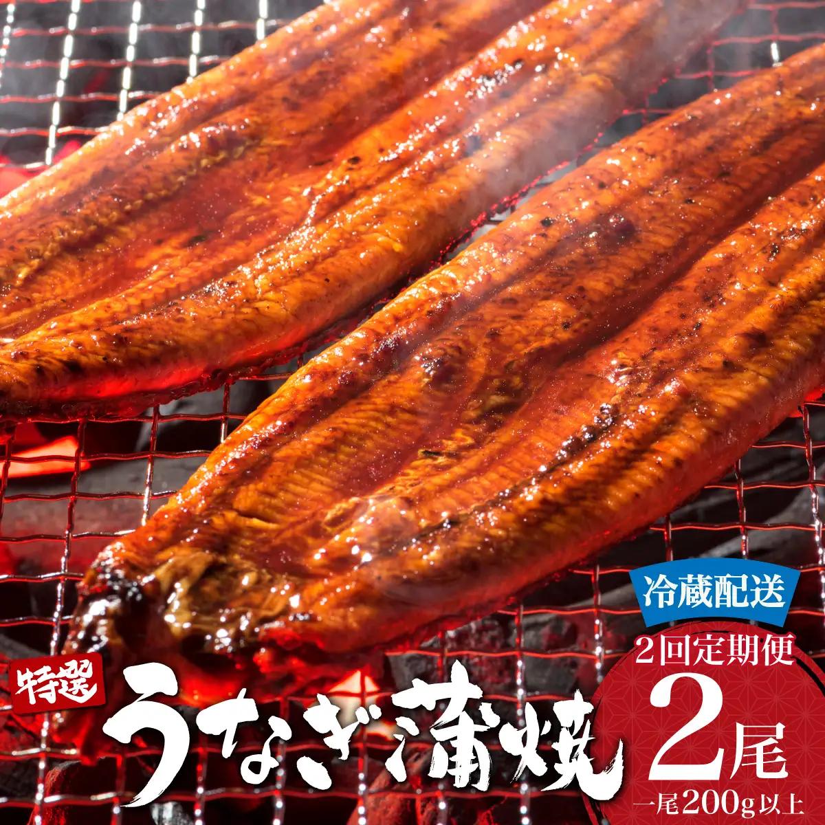 ＜定期便2回＞ うなぎ蒲焼き 計800g (200g×2尾×2回) 冷蔵