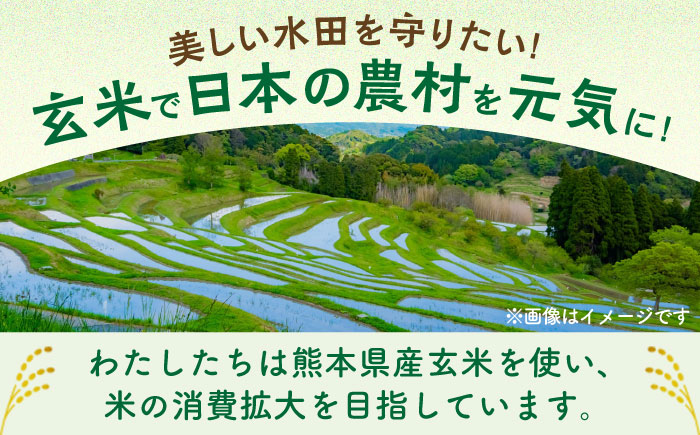 玄米パスタ フェットチーネ7袋セット / 玄米 パスタ 特産品 熊本【株式会社熊本玄米研究所】 [BHAF023]