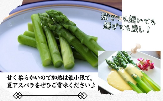 JR九州ファームの夏アスパラガス　Lサイズ1.2kg【A9-029】 アスパラガス アスパラ 夏アスパラ 野菜 甘み 柔らかい 松浦市