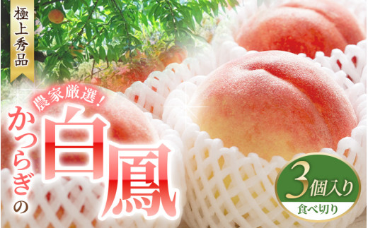 桃 【2025年先行予約】 白鳳　桃の王様！食べきりやすい３個入り【2025年6月下旬頃より順次発送】【秀品】こだわり農家厳選 桃 モモ フルーツ 果物 くだもの 人気 産地直送 厳選 甘い 予約 もも フルーツ王国【kgr010】