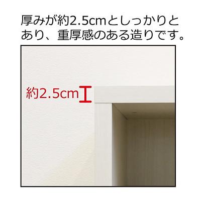 ふるさと納税 海南市 国産 ダブル棚板 本棚 W90 ブラウン AKU102209601 |  | 03