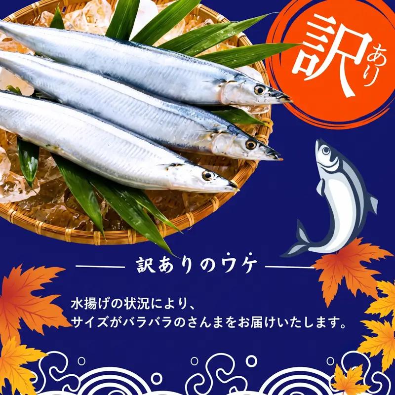 期間限定 訳あり さんま 2kg