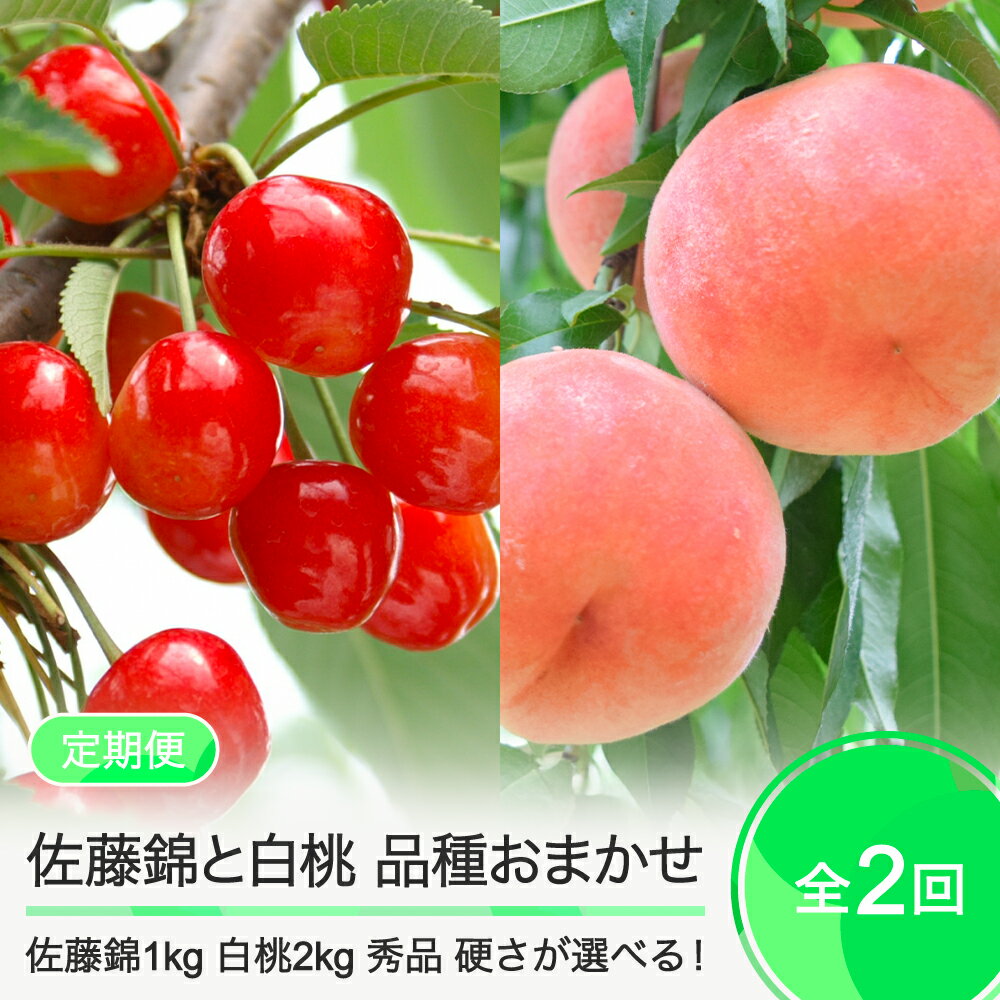 【ふるさと納税】 2回定期便 佐藤錦1kg×白桃2kg さくらんぼ 白桃 品種おまかせ 選べる定期便 山形県産 2026年産 令和8年産 フルーツ 果実 ry-ft2shx