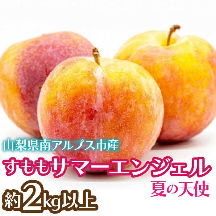 【ふるさと納税】＜2026年発送先行予約＞すもも　サマーエンジェル「夏の天使」約2kg以上 ふるさと納税 すもも サマーエンジェル プラム 果物 フルーツ おすすめ 山梨県 南アルプス市 送料無料 ALPCZ009