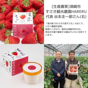 アイスクリーム いちご アイス 紅ほっぺ 濃厚 無添加 濃恋 高知県 須崎市