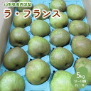 【ふるさと納税】西洋梨 （ラ・フランス） 5kg 特秀・秀品混合 果物 フルーツ 産地直送 山形 お取り寄せ 送料無料 山形県 上山市 0110-2412