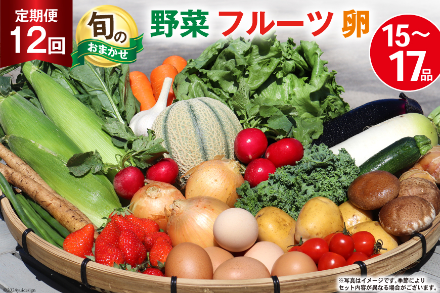 BD038 【12回定期便】 野菜・フルーツ・卵 旬のおまかせセット （野菜･フルーツ14～16種、卵6玉） 【 野菜セット 野菜 フルーツ 果物 たまご 鶏卵 産地直送 厳選 野菜生活】_イメージ1